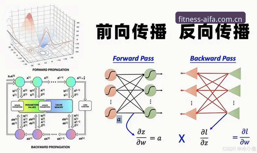 揭秘aifa体育最新版必备背后的技术逻辑：一个评测员的深度拆解